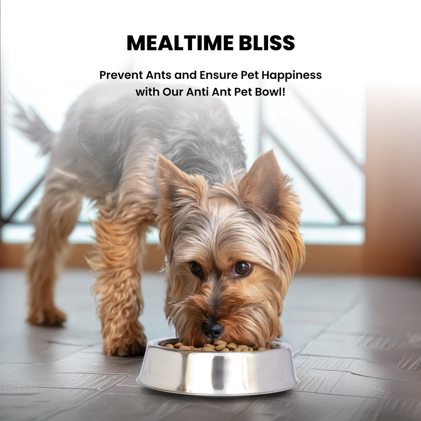 Anti Ant Stainless Steel Non Skid Pet Bowl for Dog or Cat