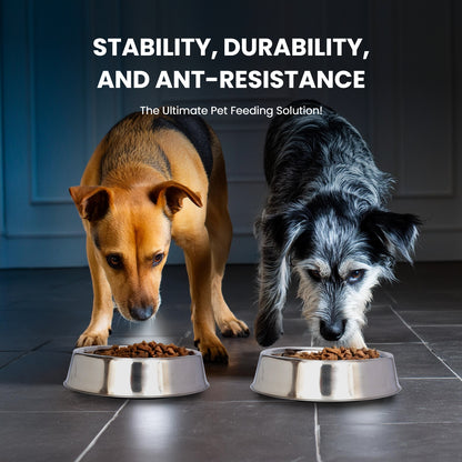 Anti Ant Stainless Steel Non Skid Pet Bowl for Dog or Cat