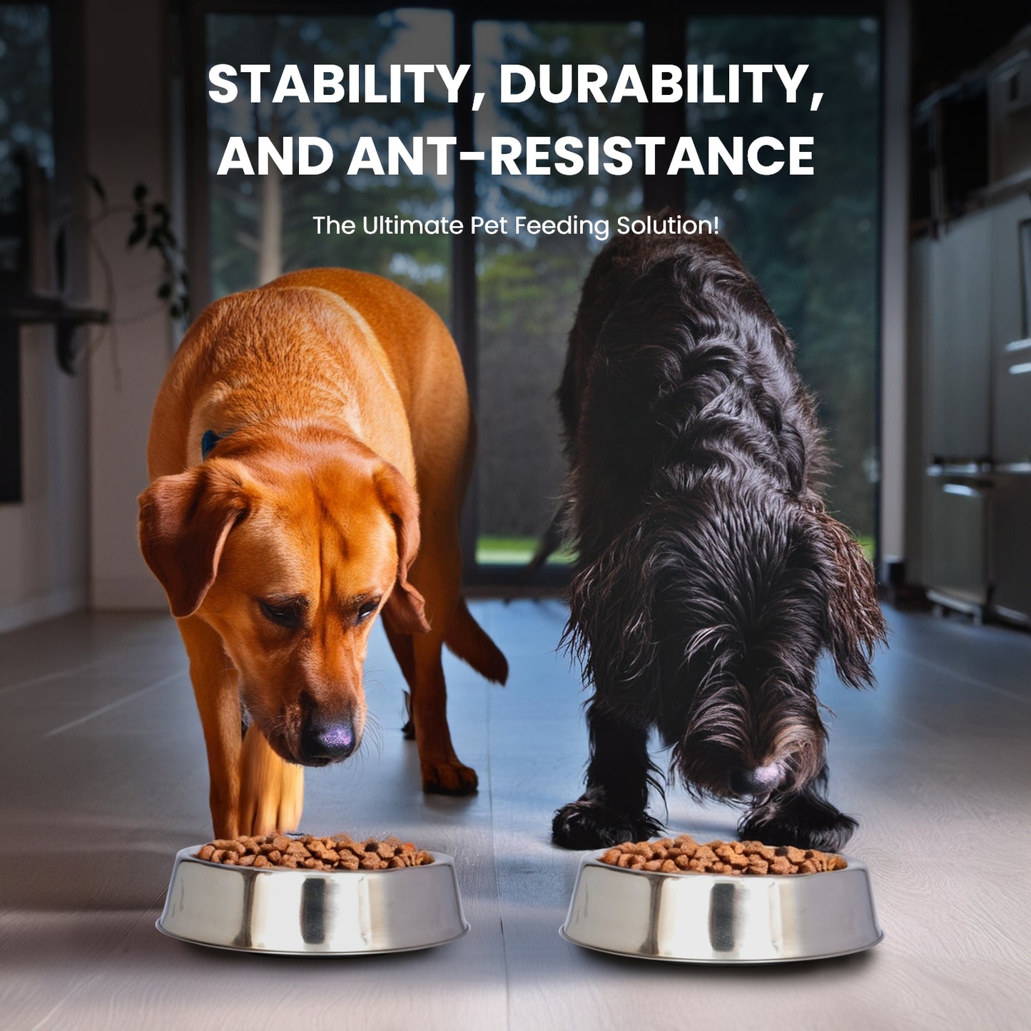 Anti Ant Stainless Steel Non Skid Pet Bowl for Dog or Cat