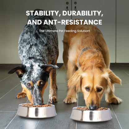 Anti Ant Stainless Steel Non Skid Pet Bowl for Dog or Cat