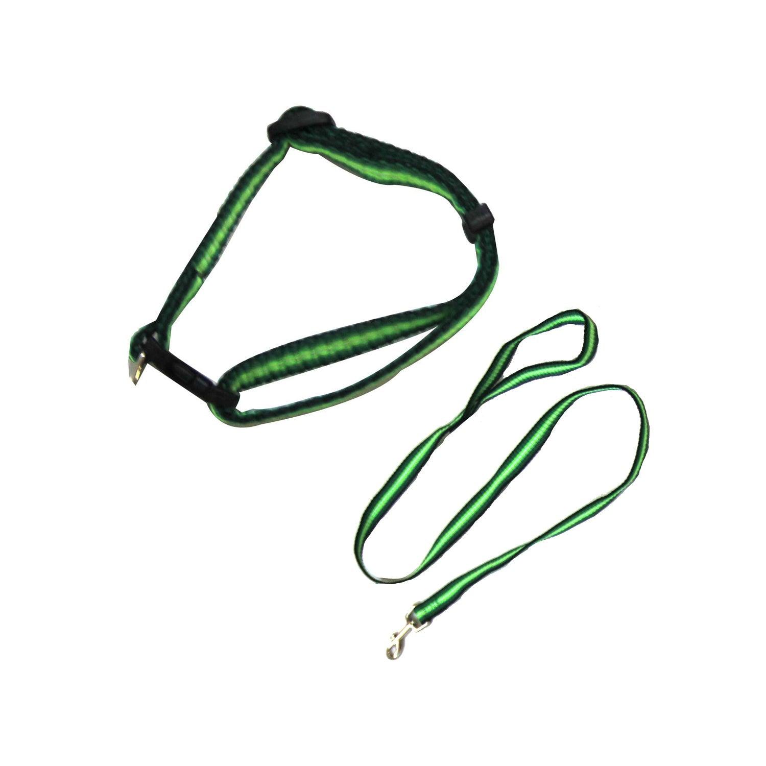 Rainbow Adjustable Collar with Leash - Green 